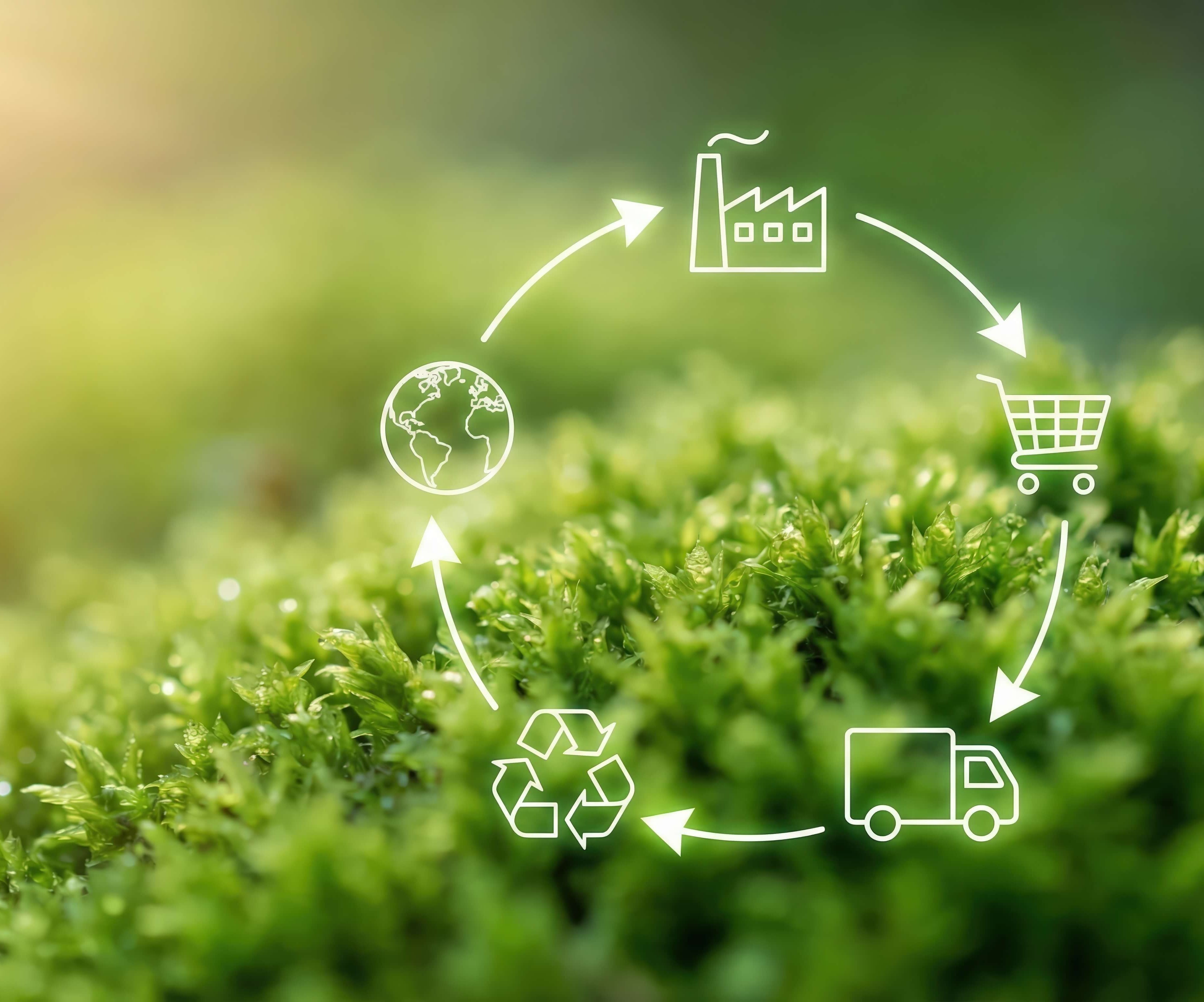 Come costruire sustainable supply chains resilienti e connesse